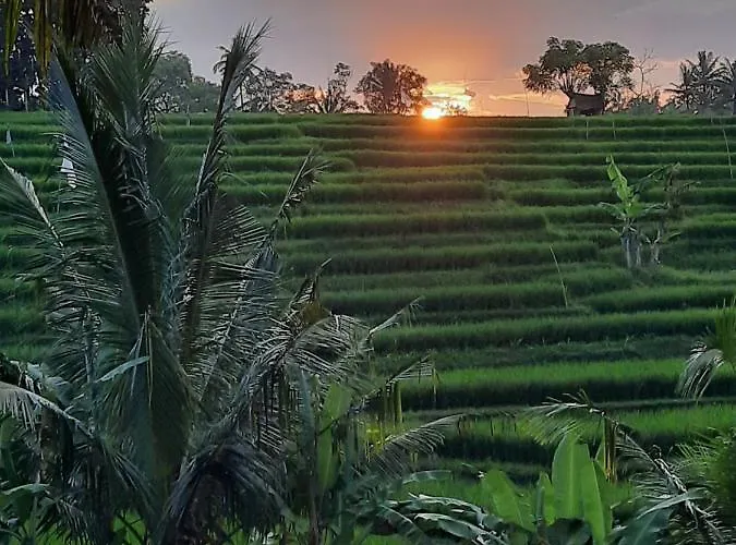 Serenity Private Mas *