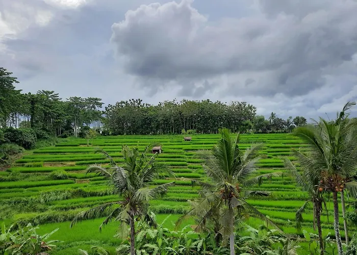 Serenity Private Mas Privatunterkunft *