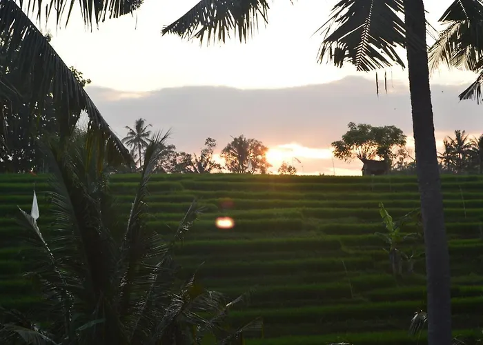 Privatunterkunft Serenity Private Mas