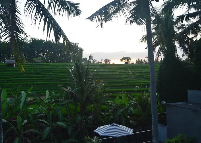 Serenity Private Mas