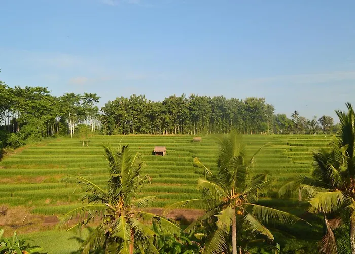 Serenity Private Mas Privatunterkunft