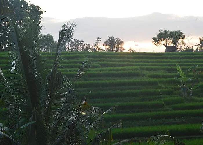 Privatunterkunft Serenity Private Mas